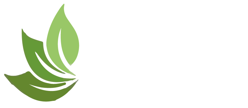 Get Vitality an Beauty